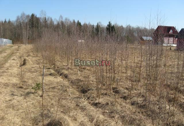 Участок  в садовом товариществе Москва