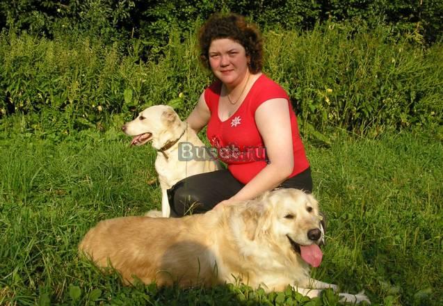 Домашняя передержка собак Москва