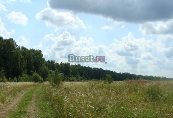 21.7 га в Калужской области Таруса