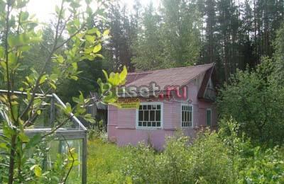 Продаётся участок с баней и времянкой в п. Вырица Санкт-Петербург