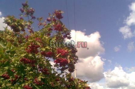 Участок с фундаментом и колодцем.Выгодно Воскресенск