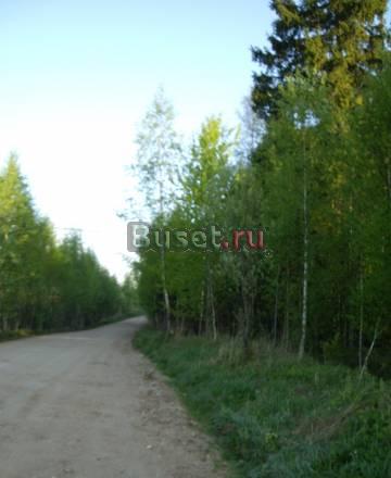 Участок 35 км от МКАД Лобня