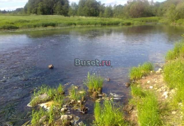 40 соток у берега речки в тихой деревне Москва