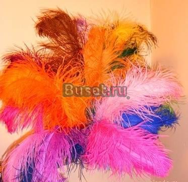 Перья страуса Москва