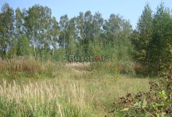 Участок на Можайском водохранилище Москва