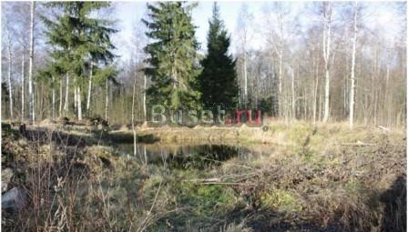 Участок сад-во Тайцы Гатчина