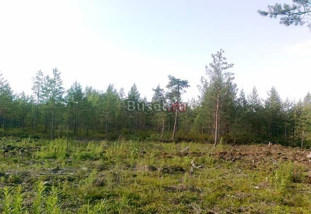 Участок в Ропше Санкт-Петербург