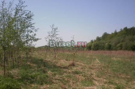 Участок в д. Кичибухино Переславского района Переславль-Залесский