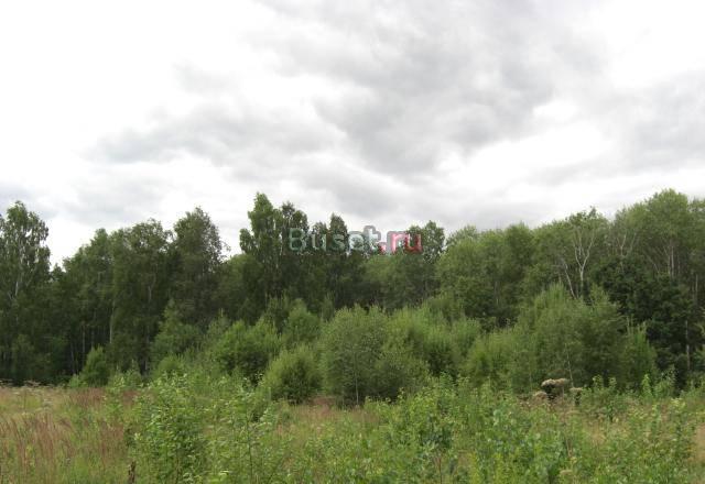 Калужское ш. 63 км. Тетеринки Москва