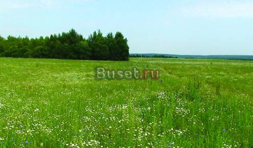 Участки 95 км от МКАД Яросл. ш. 15-23 т.р/сот Александров