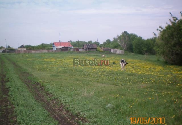 Продаётся участок. николаевка с. 2/кинельский р-н Кинель