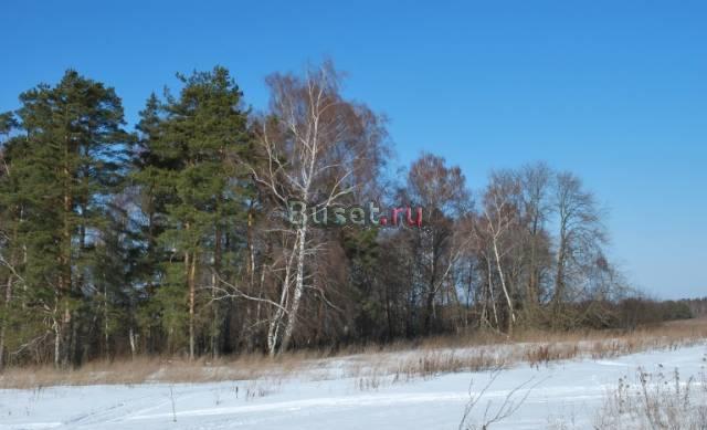 6.2 сот. 100 км от Москвы, заповедник Москва