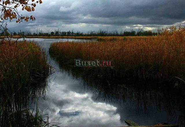 Как прожить 500 лет Москва