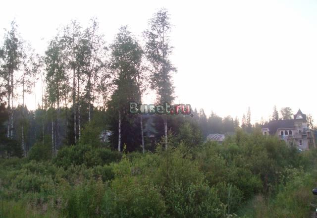 Агалатово собственность 10+10 соток Санкт-Петербург
