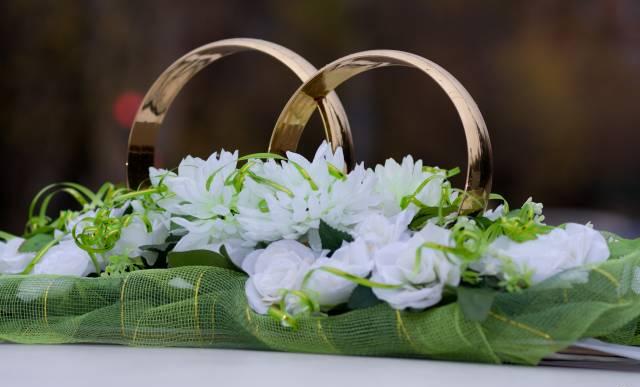 Свадебный фотограф и видео, музыканты Москва