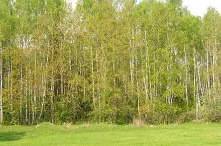 Земельные участки,ижс (Рамен. р-н,18км от МКАД) Москва