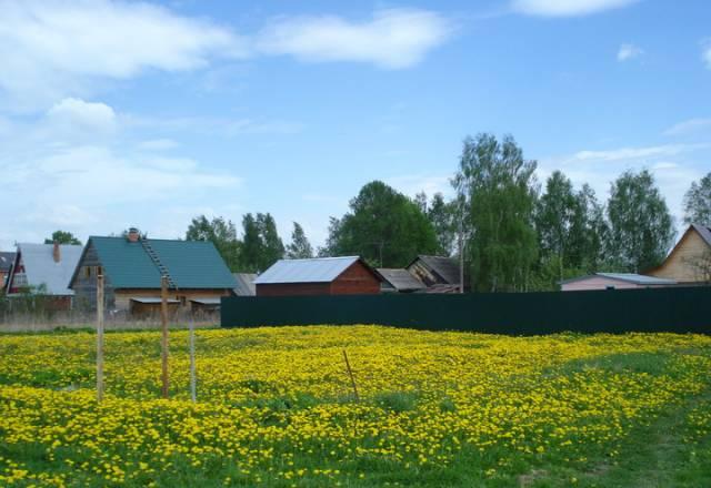 Продаётся Голицино
