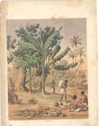 Гравюры 19 в Москва