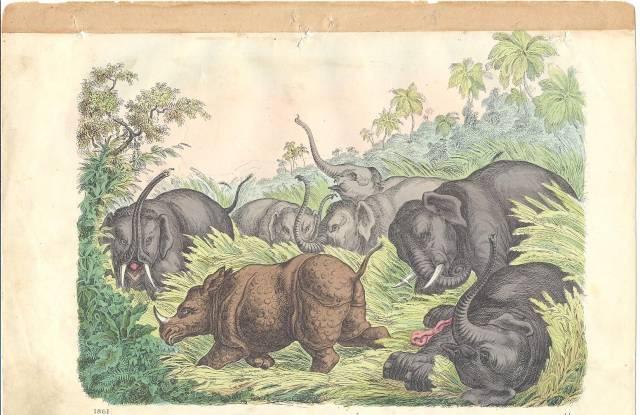 Трехколесный велосипед Люберцы