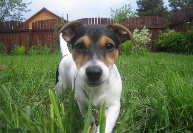 Кроватка  маятник " Золушка" новая Москва