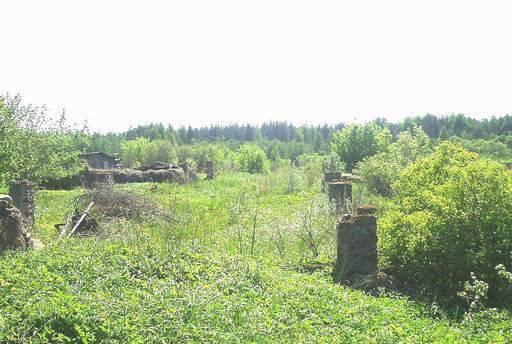 Участок 30 соток в Псковском районе Санкт-Петербург
