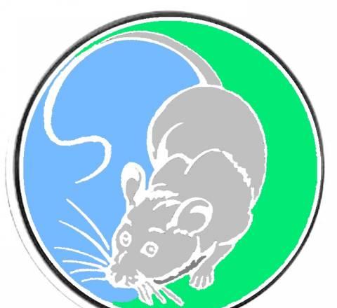 Уничтожение вредителей на объекте Москва