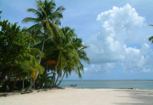 Куплю плеер iPod Москва