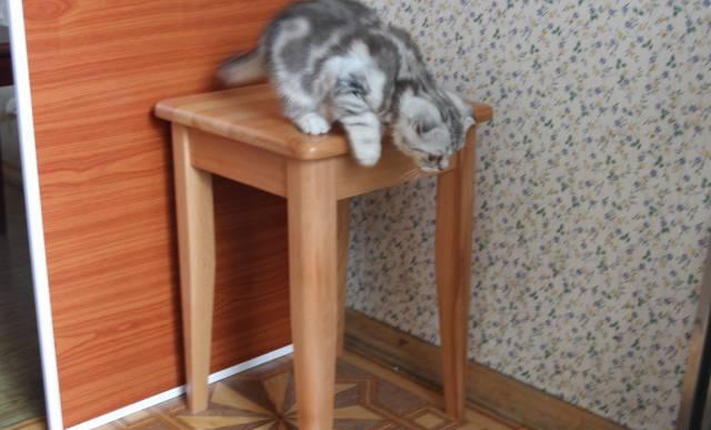 Табуретки Москва