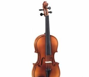 Скрипка 1/2 Санкт-Петербург
