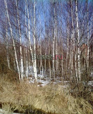 Симфер.ш.37км от МКАД участок п.Троицкое Чехов