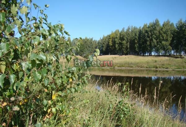 Участок 14,7 Га  Каширское ш. 100км от МКАД Москва