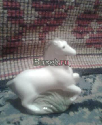 Лошадка Санкт-Петербург