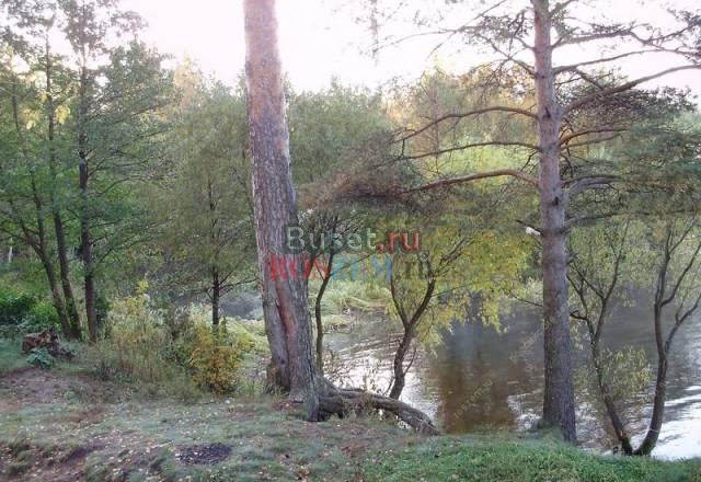 3 га на берегу Иваньковского водохранилища Конаково