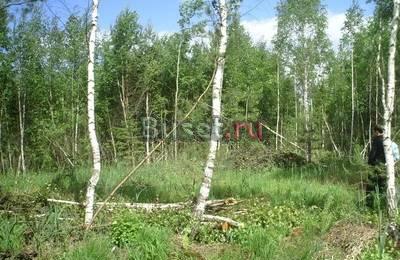 Участок, 60 км.горьк.ш.от МКАД, Васютино Павловский Посад