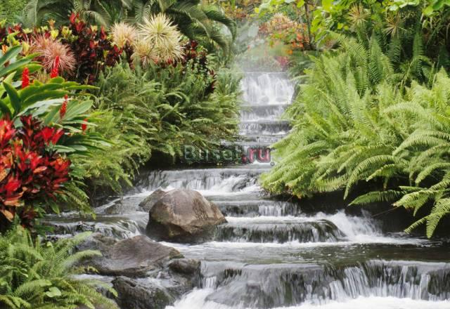 Акция Очищение, оздоровление, лифтинг лица Москва