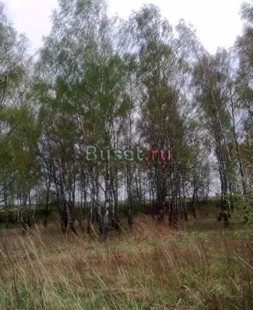 Симф.ш 47 км от МКАД участок 20 сот.пмж Чехов