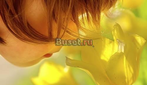 Актерское мастерство  Техника речи Москва