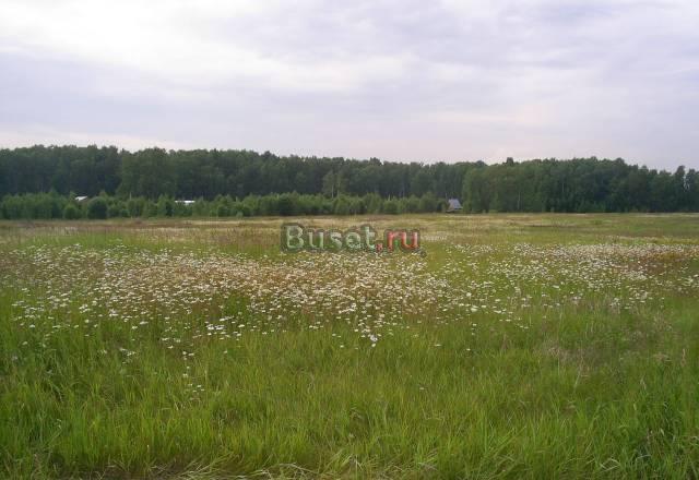 10 соток  Раменский район Москва