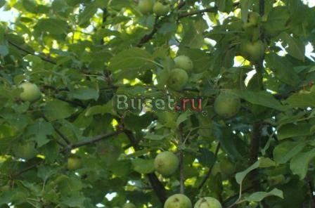 Дом в деревне с газом Москва