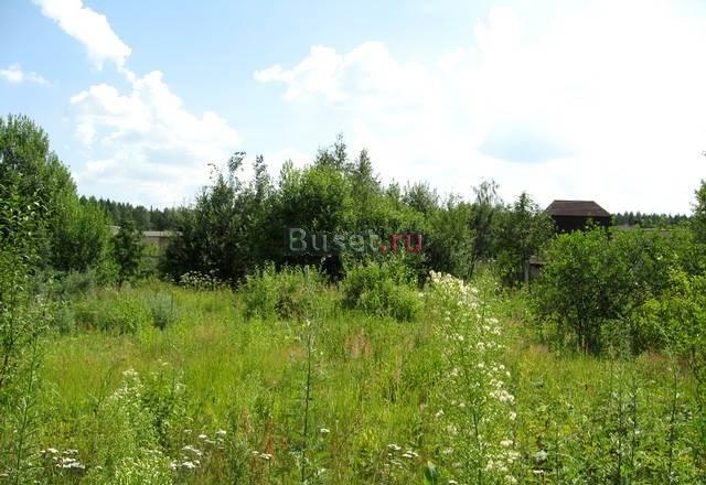 Земельный участок 12 сот в сосновом бору, Серпухов Москва