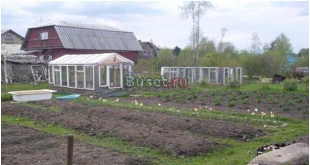 Дача сад-во Учхоз Гатчина