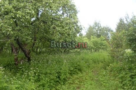 15 соток земли в поселке Воейково Санкт-Петербург