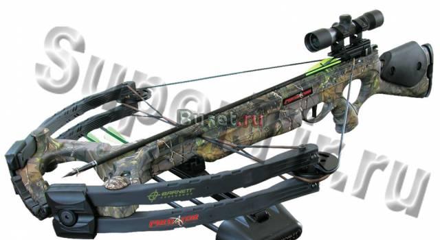 Выездной тир Продажа арбалетов и луков Москва