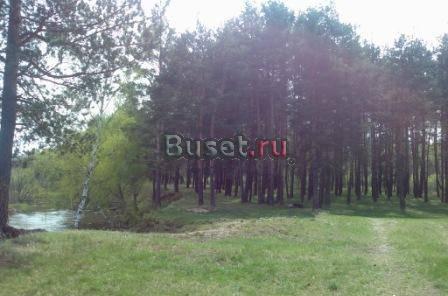 Продам участок 8сот в сосновом бору.г.Киржач Москва