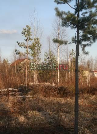 Продаются участки Санкт-Петербург