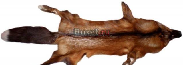 Поставляем меха норки, песца, соболя, енотовидной Владивосток