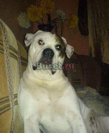 Вязка Волгоград