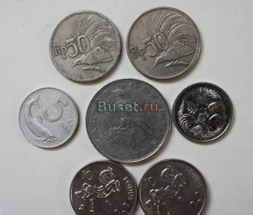 Поборка животных Москва