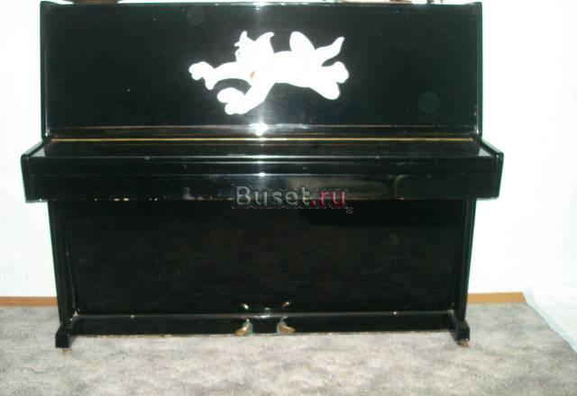 Отдам в хорошие руки Москва