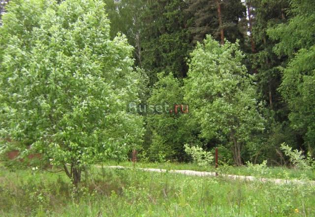 Щелковское ш., 40км. 9 соток, лес, река, 1 000 000 Москва